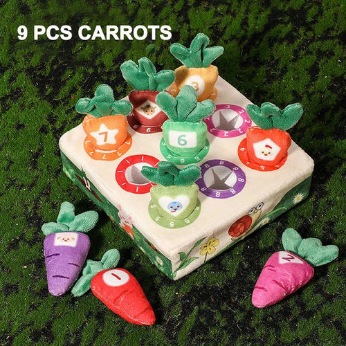 Montessori Carrot Pull Toddlers Toy