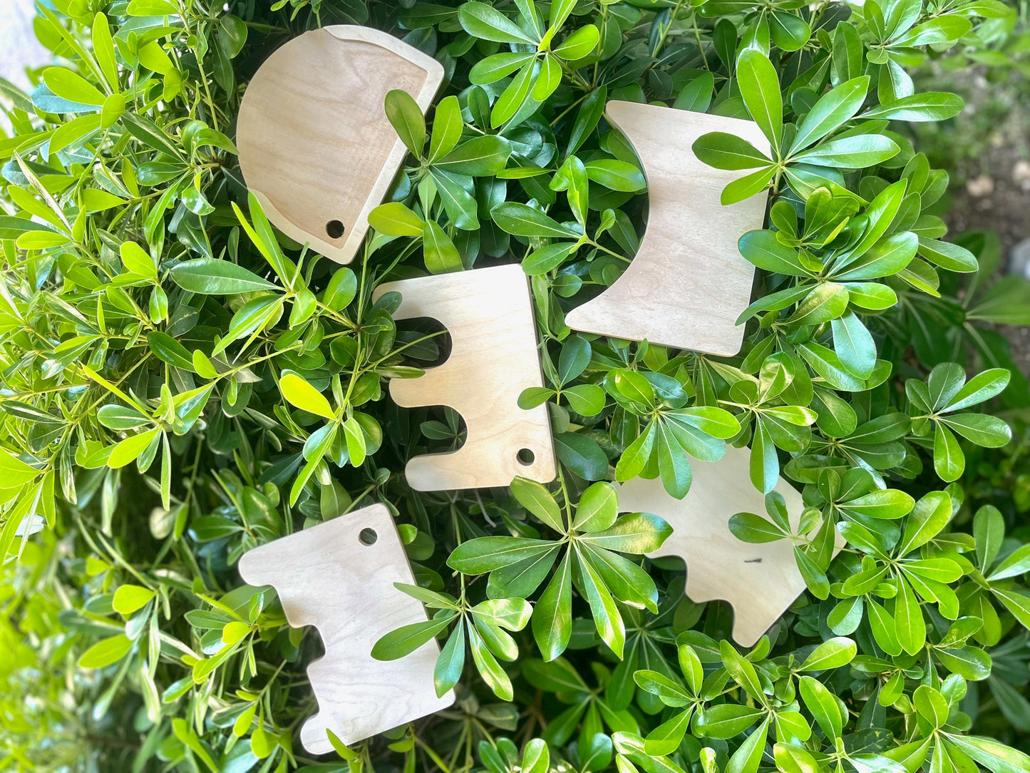 Montessori Wooden Shovel Set