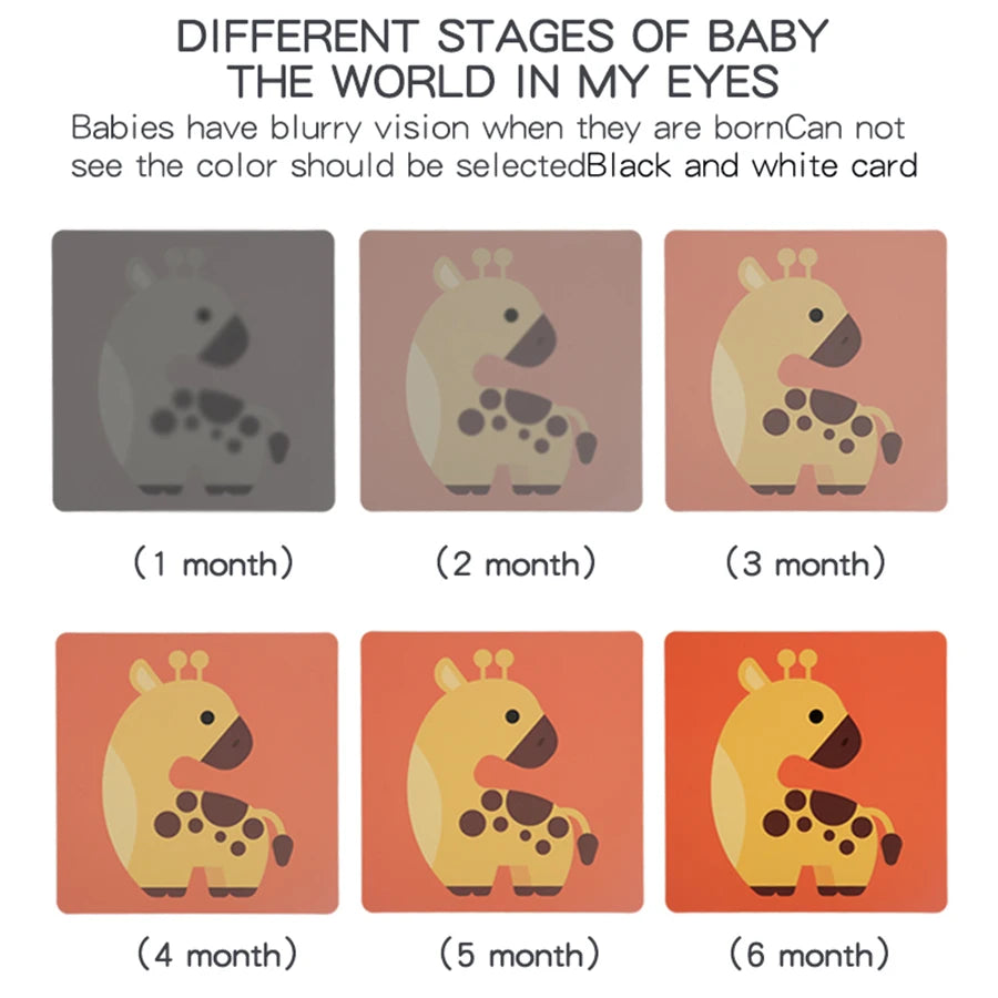 Baby Visual Stimulation Cards