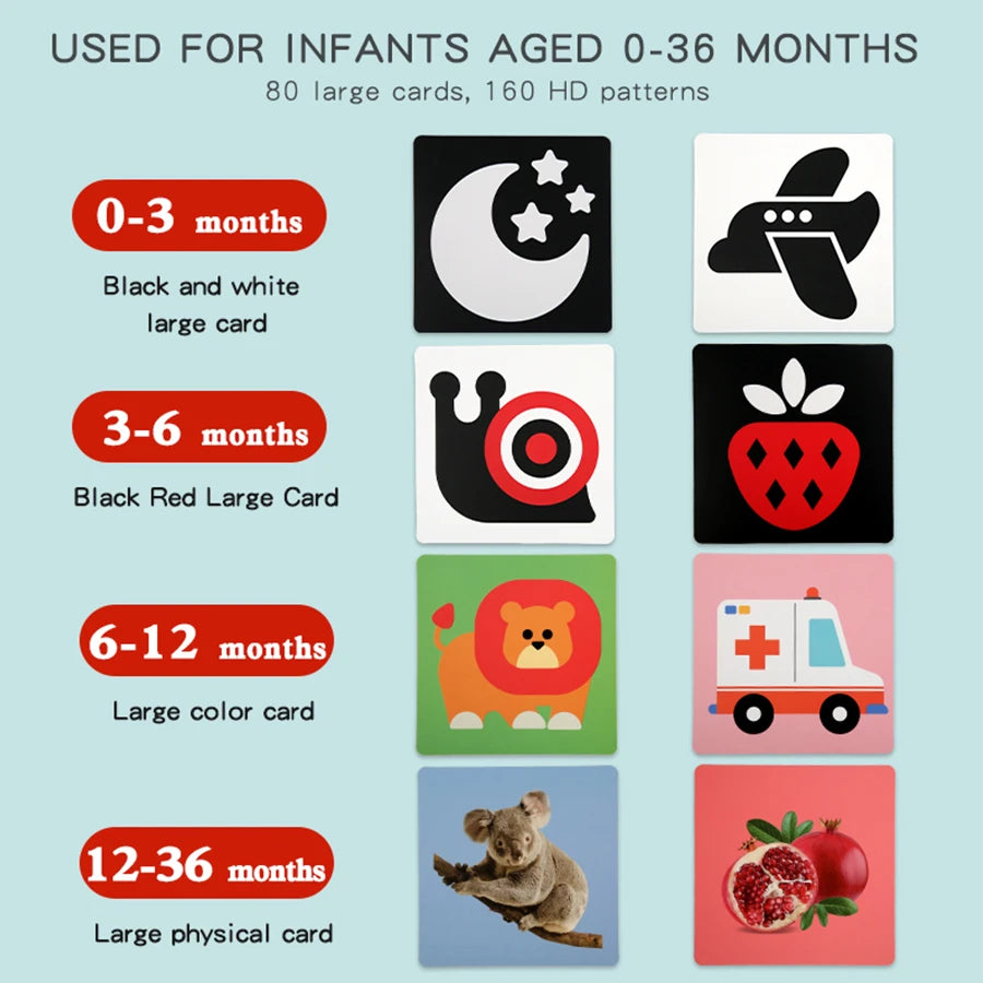 Baby Visual Stimulation Cards