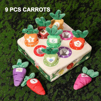 Montessori Carrot Pull Toddlers Toy