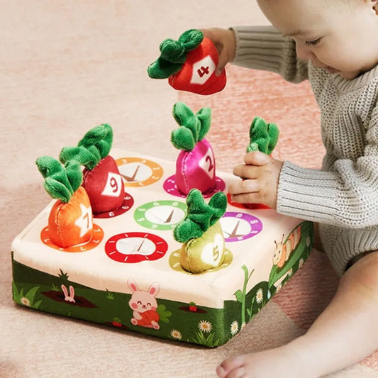 Montessori Color Sorting Toy – Fine Motor Skills Training